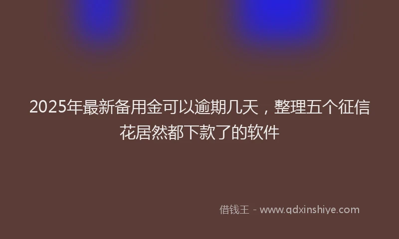 2025年最新备用金可以逾期几天，整理五个征信花居然都下款了的软件