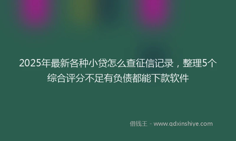 2025年最新各种小贷怎么查征信记录，整理5个综合评分不足有负债都能下款软件