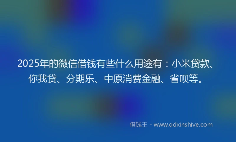 2025年的微信借钱有些什么用途有：小米贷款、你我贷、分期乐、中原消费金融、省呗等。