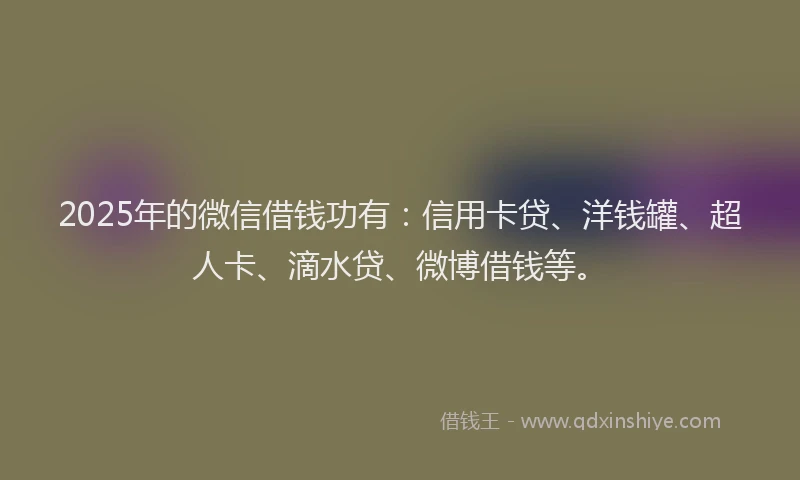 2025年的微信借钱功有：信用卡贷、洋钱罐、超人卡、滴水贷、微博借钱等。