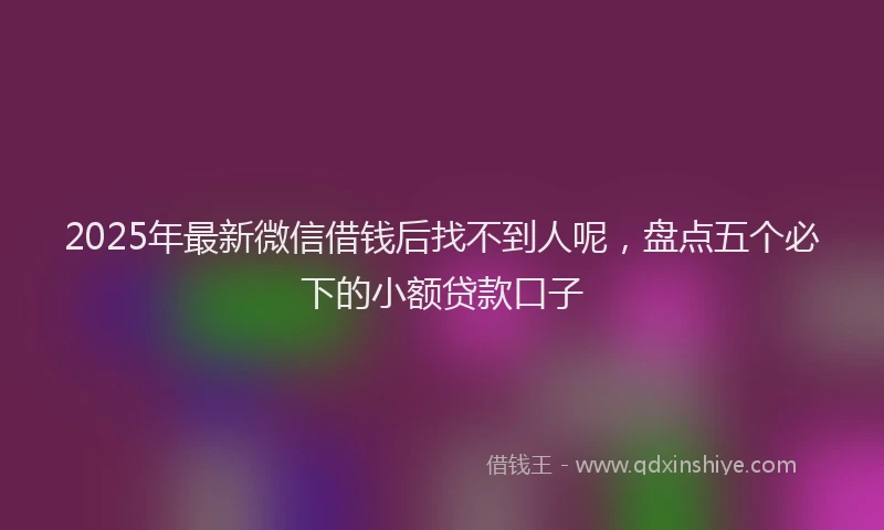 2025年最新微信借钱后找不到人呢，盘点五个必下的小额贷款口子