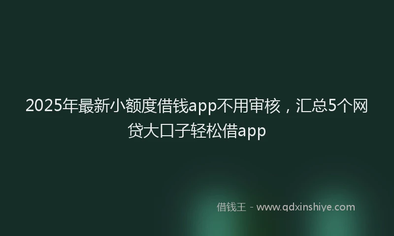 2025年最新小额度借钱app不用审核，汇总5个网贷大口子轻松借app
