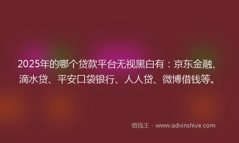 2025年的哪个贷款平台无视黑白有：京东金融、滴水贷、平安口袋银行、人人贷、微博借钱等。