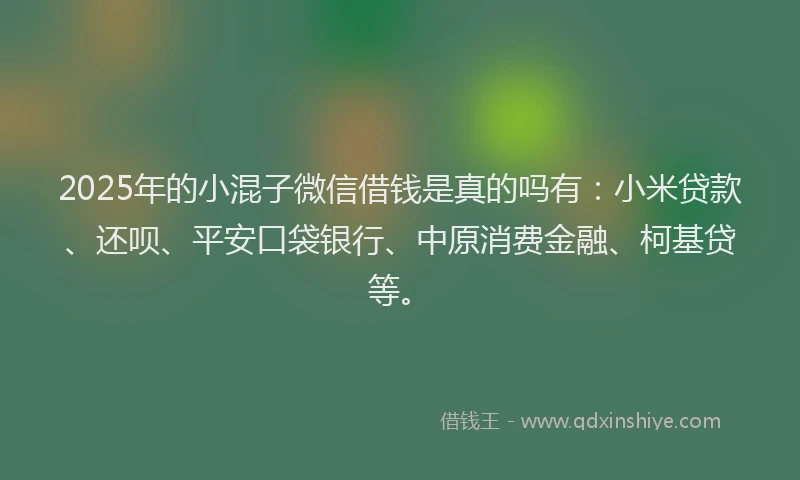 2025年的小混子微信借钱是真的吗有：小米贷款、还呗、平安口袋银行、中原消费金融、柯基贷等。