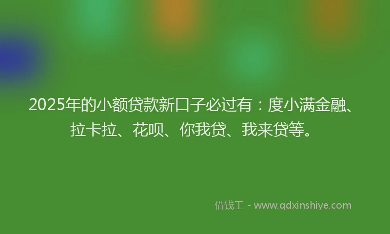 2025年的小额贷款新口子必过有：度小满金融、拉卡拉、花呗、你我贷、我来贷等。
