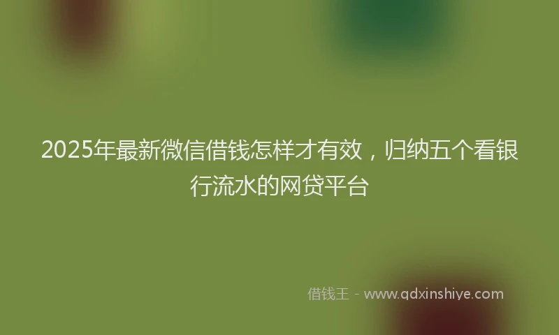 2025年最新微信借钱怎样才有效，归纳五个看银行流水的网贷平台