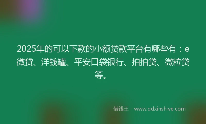 2025年的可以下款的小额贷款平台有哪些有：e微贷、洋钱罐、平安口袋银行、拍拍贷、微粒贷等。