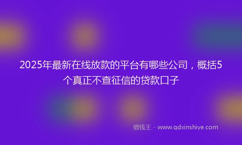 2025年最新在线放款的平台有哪些公司，概括5个真正不查征信的贷款口子