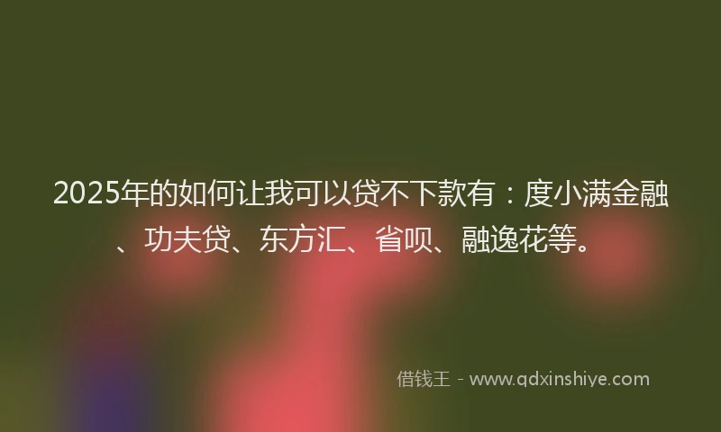 2025年的如何让我可以贷不下款有：度小满金融、功夫贷、东方汇、省呗、融逸花等。