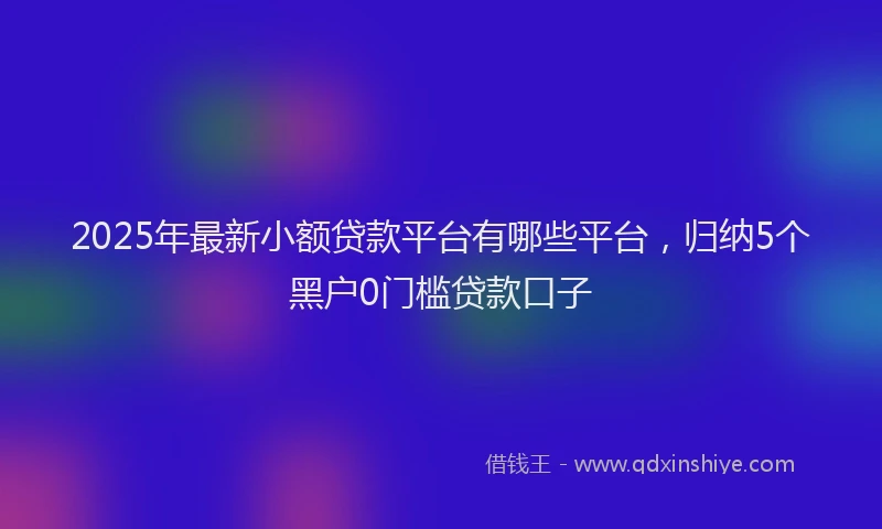 2025年最新小额贷款平台有哪些平台，归纳5个黑户0门槛贷款口子