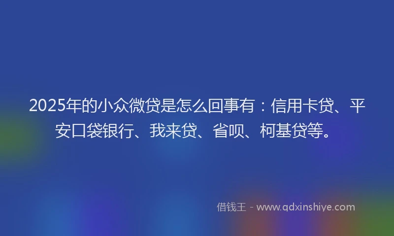 2025年的小众微贷是怎么回事有：信用卡贷、平安口袋银行、我来贷、省呗、柯基贷等。