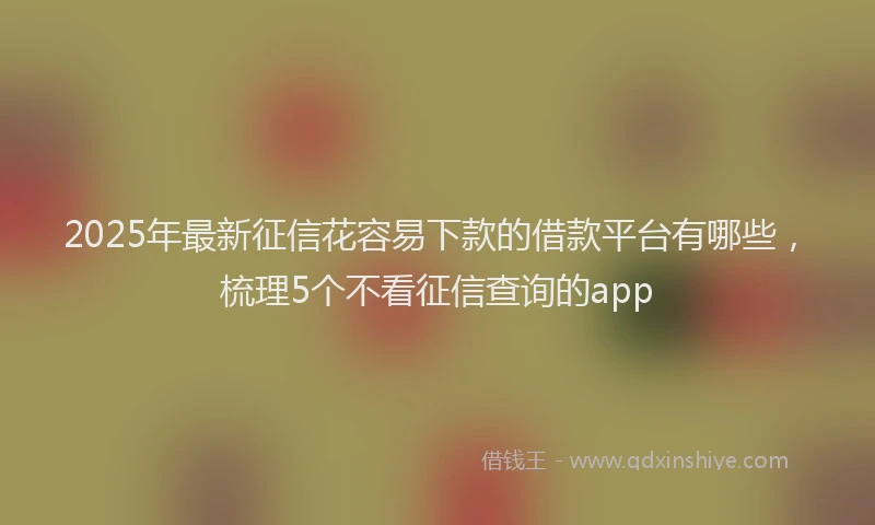 2025年最新征信花容易下款的借款平台有哪些，梳理5个不看征信查询的app
