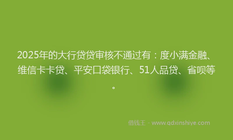 2025年的大行贷贷审核不通过有：度小满金融、维信卡卡贷、平安口袋银行、51人品贷、省呗等。