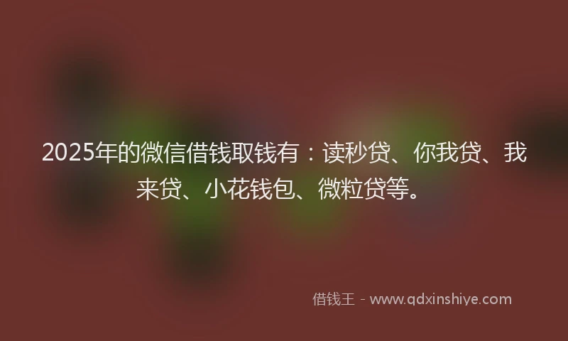 2025年的微信借钱取钱有：读秒贷、你我贷、我来贷、小花钱包、微粒贷等。