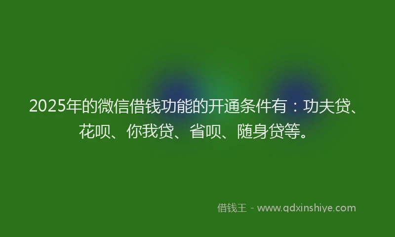 2025年的微信借钱功能的开通条件有：功夫贷、花呗、你我贷、省呗、随身贷等。