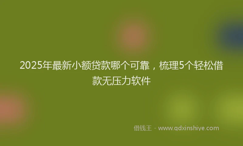 2025年最新小额贷款哪个可靠，梳理5个轻松借款无压力软件