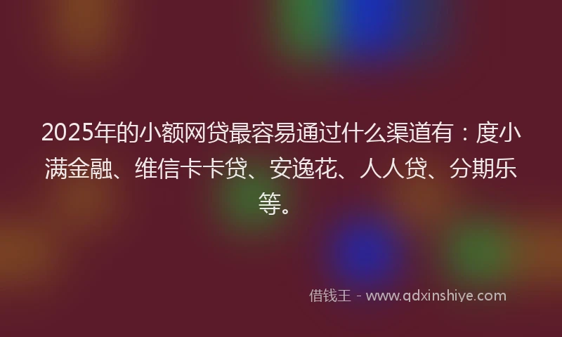 2025年的小额网贷最容易通过什么渠道有：度小满金融、维信卡卡贷、安逸花、人人贷、分期乐等。