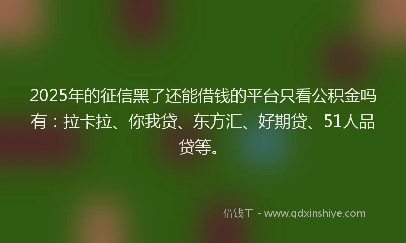 2025年的征信黑了还能借钱的平台只看公积金吗有：拉卡拉、你我贷、东方汇、好期贷、51人品贷等。