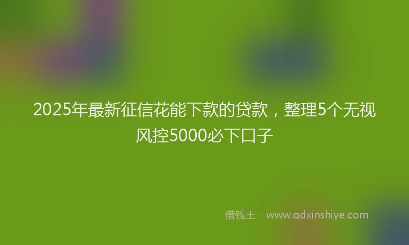 2025年最新征信花能下款的贷款，整理5个无视风控5000必下口子