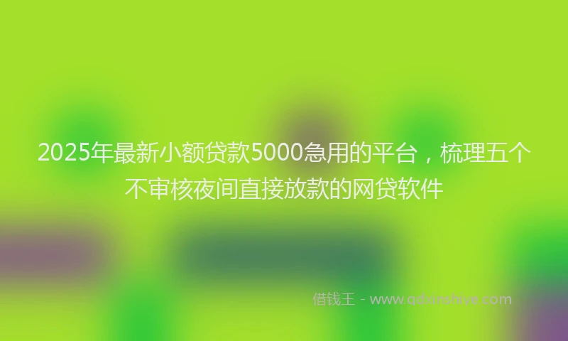 2025年最新小额贷款5000急用的平台，梳理五个不审核夜间直接放款的网贷软件