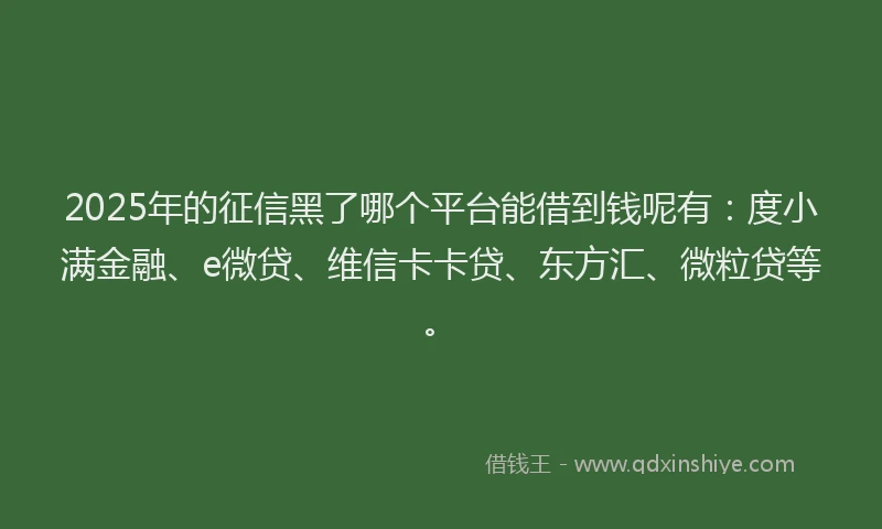 2025年的征信黑了哪个平台能借到钱呢有：度小满金融、e微贷、维信卡卡贷、东方汇、微粒贷等。