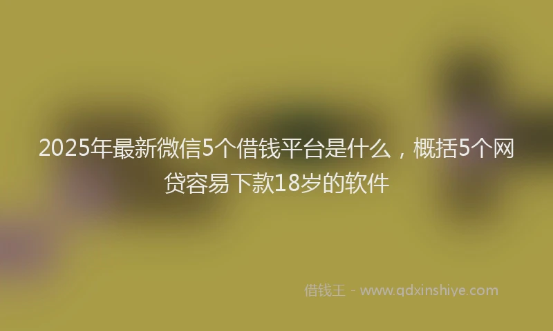 2025年最新微信5个借钱平台是什么，概括5个网贷容易下款18岁的软件