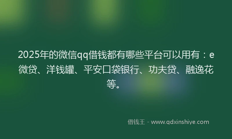 2025年的微信qq借钱都有哪些平台可以用有：e微贷、洋钱罐、平安口袋银行、功夫贷、融逸花等。