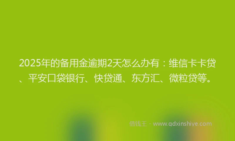 2025年的备用金逾期2天怎么办有：维信卡卡贷、平安口袋银行、快贷通、东方汇、微粒贷等。