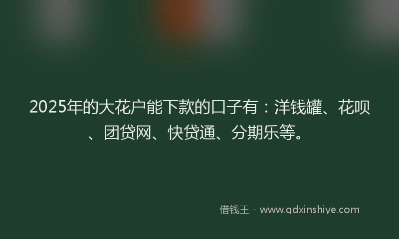 2025年的大花户能下款的口子有：洋钱罐、花呗、团贷网、快贷通、分期乐等。