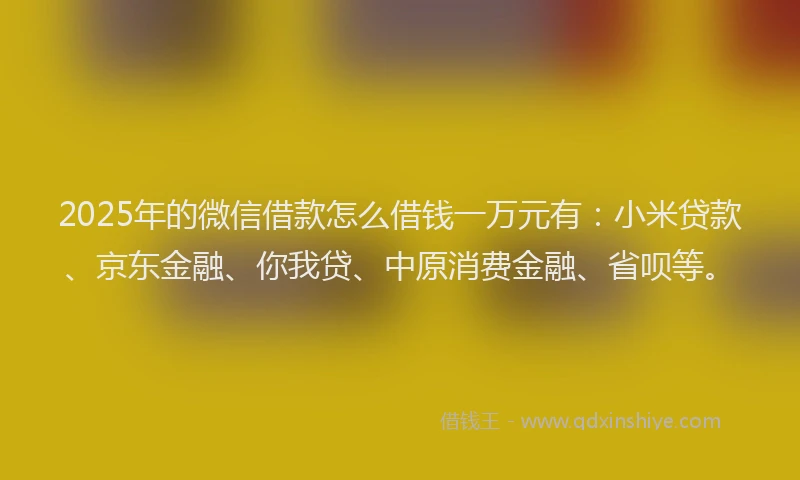 2025年的微信借款怎么借钱一万元有：小米贷款、京东金融、你我贷、中原消费金融、省呗等。
