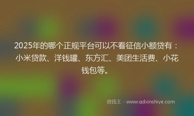 2025年的哪个正规平台可以不看征信小额贷有：小米贷款、洋钱罐、东方汇、美团生活费、小花钱包等。