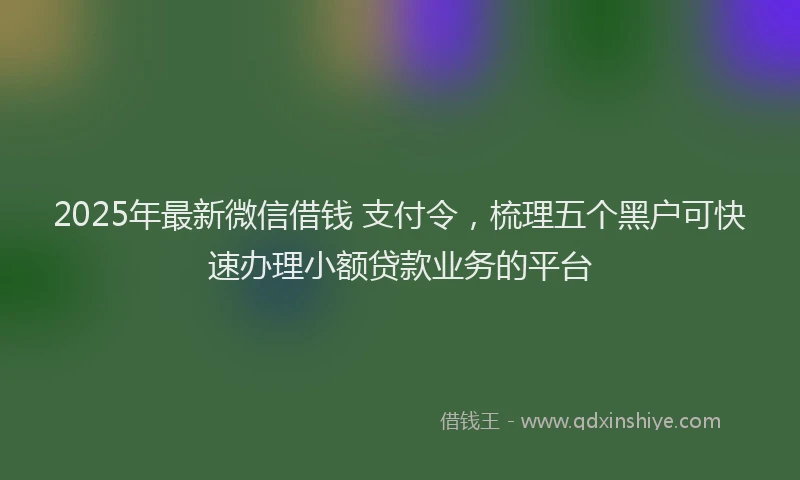 2025年最新微信借钱 支付令，梳理五个黑户可快速办理小额贷款业务的平台