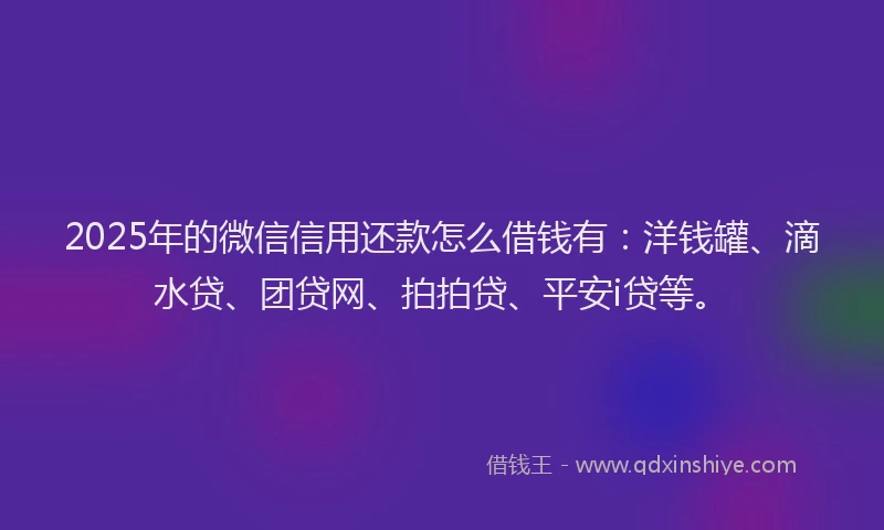 2025年的微信信用还款怎么借钱有：洋钱罐、滴水贷、团贷网、拍拍贷、平安i贷等。