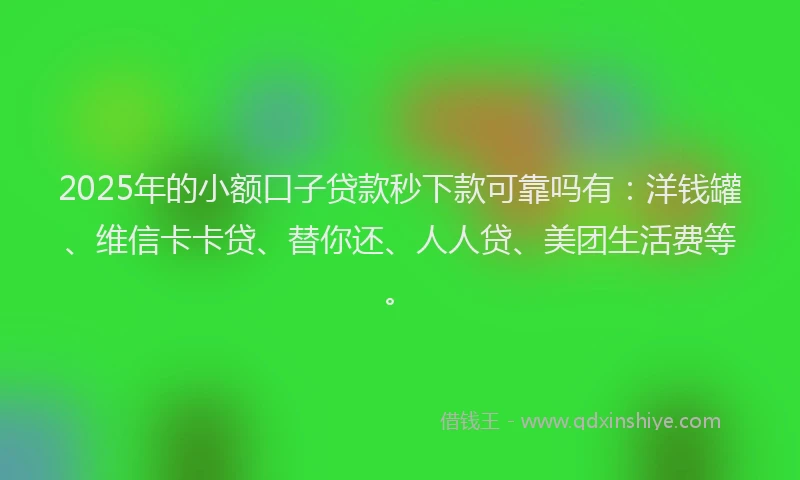 2025年的小额口子贷款秒下款可靠吗有：洋钱罐、维信卡卡贷、替你还、人人贷、美团生活费等。