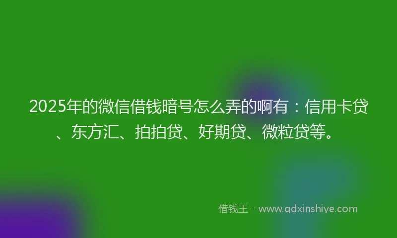 2025年的微信借钱暗号怎么弄的啊有：信用卡贷、东方汇、拍拍贷、好期贷、微粒贷等。
