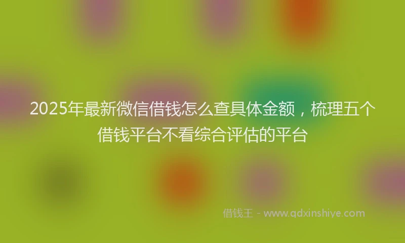 2025年最新微信借钱怎么查具体金额，梳理五个借钱平台不看综合评估的平台