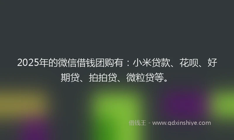 2025年的微信借钱团购有：小米贷款、花呗、好期贷、拍拍贷、微粒贷等。