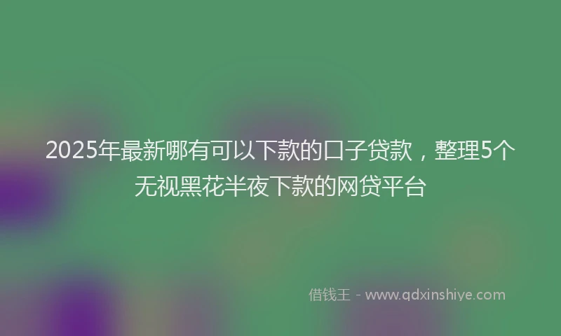 2025年最新哪有可以下款的口子贷款，整理5个无视黑花半夜下款的网贷平台