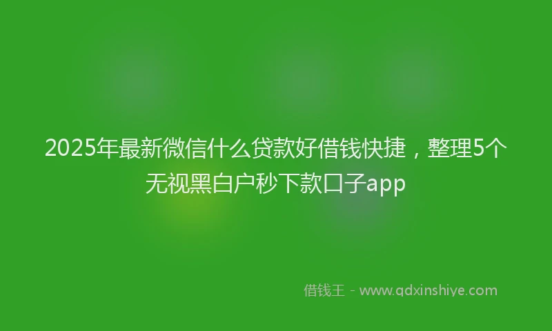2025年最新微信什么贷款好借钱快捷，整理5个无视黑白户秒下款口子app