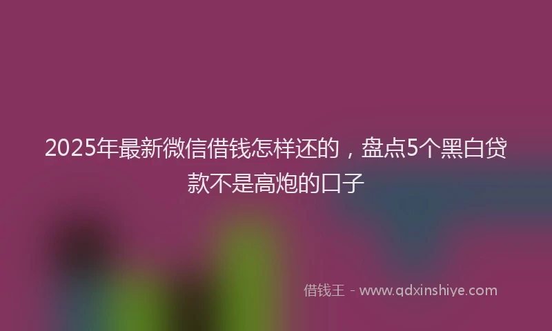 2025年最新微信借钱怎样还的，盘点5个黑白贷款不是高炮的口子