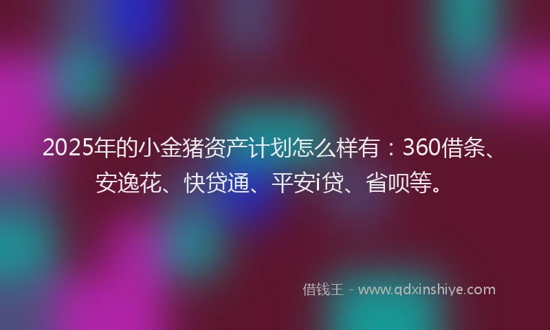 2025年的小金猪资产计划怎么样有：360借条、安逸花、快贷通、平安i贷、省呗等。