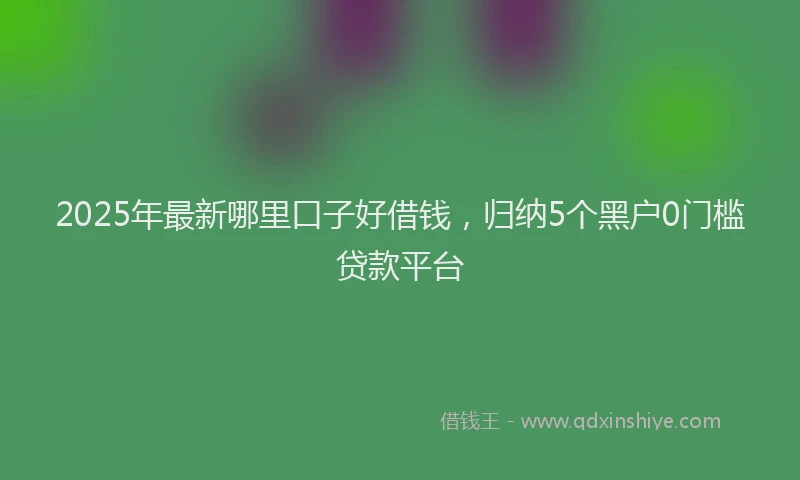 2025年最新哪里口子好借钱，归纳5个黑户0门槛贷款平台