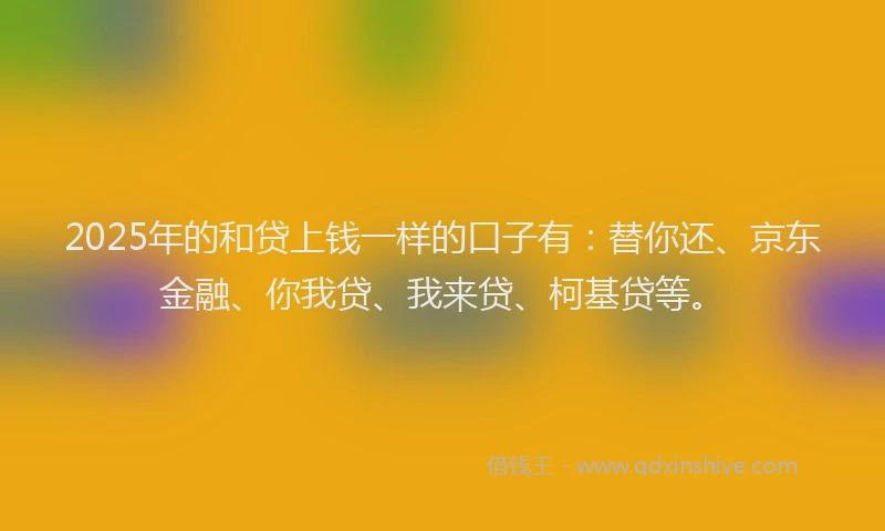 2025年的和贷上钱一样的口子有：替你还、京东金融、你我贷、我来贷、柯基贷等。