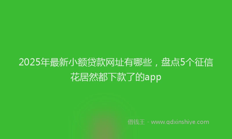 2025年最新小额贷款网址有哪些，盘点5个征信花居然都下款了的app