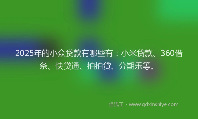2025年的小众贷款有哪些有：小米贷款、360借条、快贷通、拍拍贷、分期乐等。