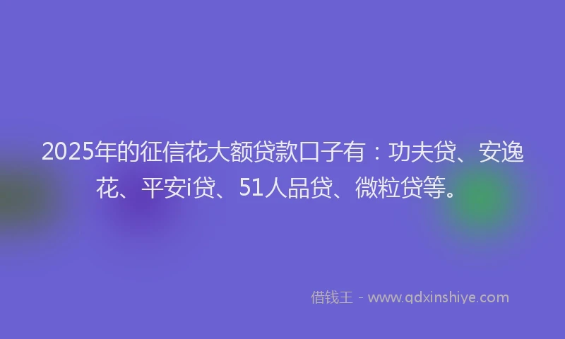 2025年的征信花大额贷款口子有：功夫贷、安逸花、平安i贷、51人品贷、微粒贷等。