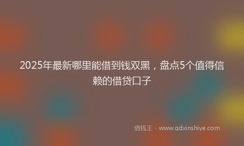 2025年最新哪里能借到钱双黑，盘点5个值得信赖的借贷口子