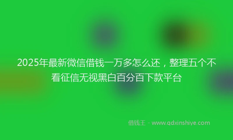 2025年最新微信借钱一万多怎么还，整理五个不看征信无视黑白百分百下款平台
