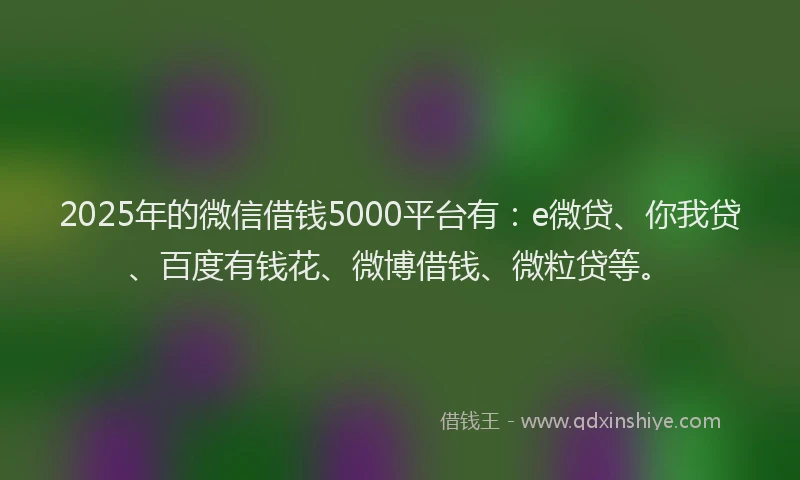 2025年的微信借钱5000平台有：e微贷、你我贷、百度有钱花、微博借钱、微粒贷等。