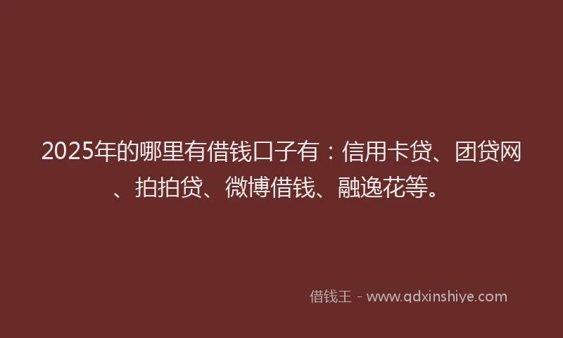 2025年的哪里有借钱口子有：信用卡贷、团贷网、拍拍贷、微博借钱、融逸花等。